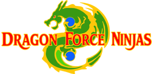 Dragon Force ninjaS Stuart Florida